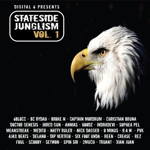 Setwon - Cold Riddem (Stateside Junglism Vol. 1 )
