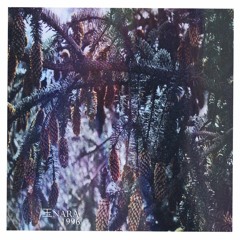 １９９６ [ＢｅａｔＴａｐｅ]