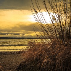 Åndedrætsmeditation. 20 Min