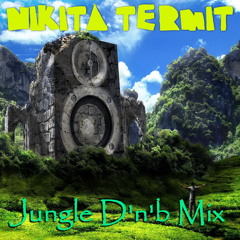 Jungle D'n'b Mix (Winter 2018)