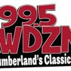 WDZN  AC OLDIES STATION OF THE YEAR  UNRANKED MARKET 995 WDZN