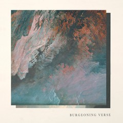 BEN CHISHOLM & FELIX SKINNER - "IV" - BURGEONING VERSE0 LP