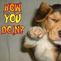 How Is U Doing Today Freestyle Ft Tvbo Frioo AK N DJ Prod By TVBO