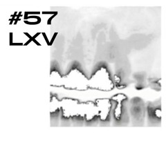 #57 / LXV