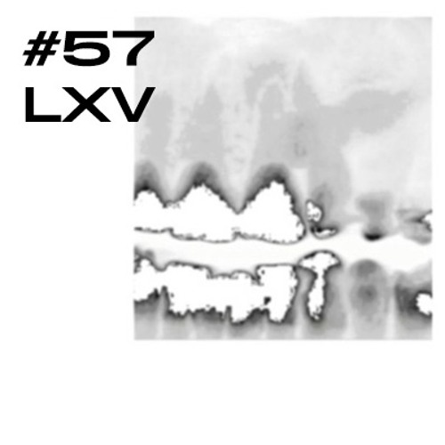 #57 / LXV