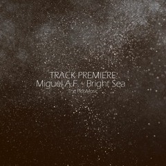 Exclusive Premiere: Miguel A.F. - Bright Sea - THE PLOTmusic