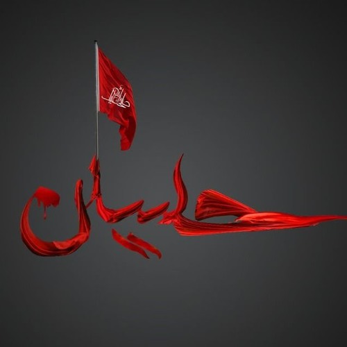 Chakwal Party - Nazar Hussain Aik Hai