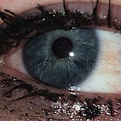 grey vision
