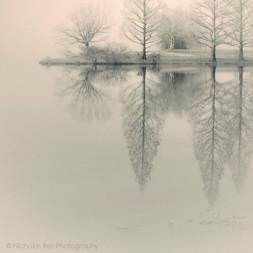 Reflections