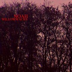 NOAH - Sorry (Prod. flamingo bill)