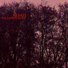 NOAH - Ground (Prod. Roach) video in description