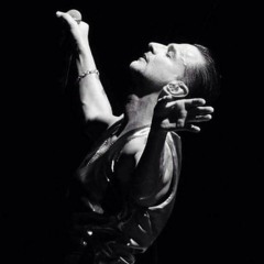 Depeche Mode - The Sinner In Me (Fallen Down Mix)