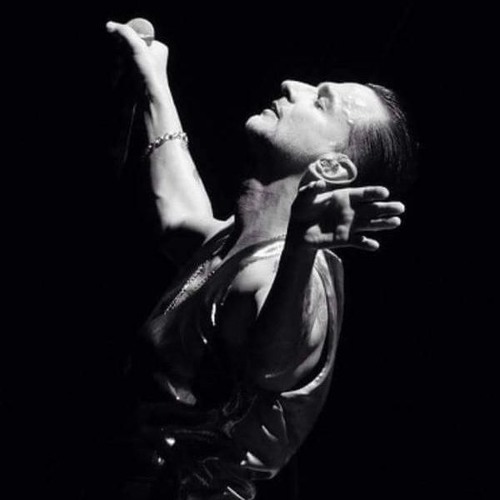 Depeche Mode - The Sinner In Me (Fallen Down Mix)