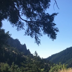 Mountain Days (Free Download)