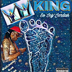 So Icy Jordan "Rebels" Ft Tee Grizzley, Young Swagg, & Shannon Salisbury