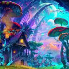 Mushroom trip (Adam Idrissi)