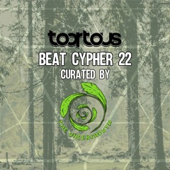 Toortous Mix 22