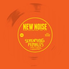 Screaming Females - "Take It Back" (New Noise Magazine Flexi 019)