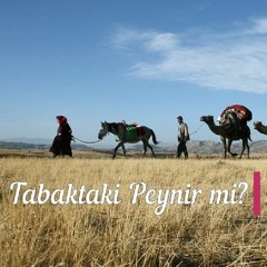 Tabaktaki Peynir mi? / Deniz YILDIZ