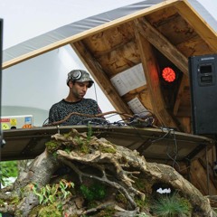 Pat Fontes @ Fractalfest 2017 - Woods Stage