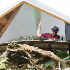 Blue Spectral Monkey @ Fractalfest 2017 - Woods Stage