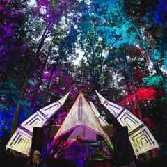Sleepy Koala @ Fractalfest 2017 - Woods Stage