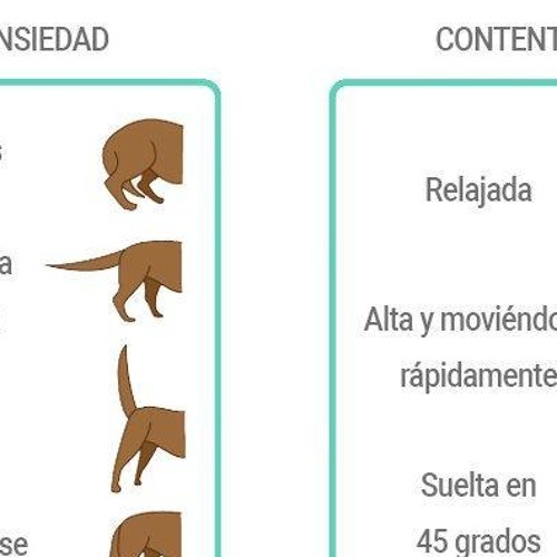 Tu Coche Habla: Aprende A Interpretar Señales De Mantenimiento - bax19a3