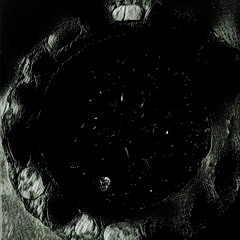 Steve Heddon - Flight And Form