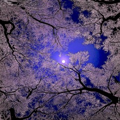 Good Morning in the Blistering Sun under the Beautiful Tree