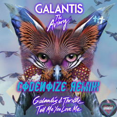 Galantis & Throttle - Tell Me You Love Me (CodeNoize Remix)