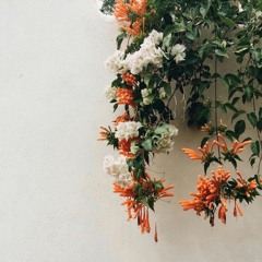 bloom (prod. VEGAS PARK)