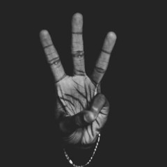 365 (By: Quintin Brown)