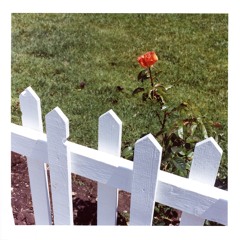 John Fox - ACT I | AVA