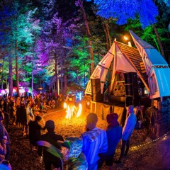 Digital Vagabond @ Fractalfest 2017 - Woods Stage