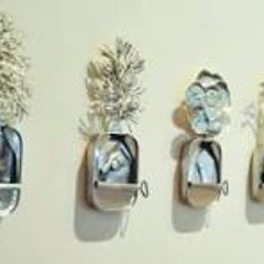 علبة سِردينٍ لا تَتّسع لحُلم