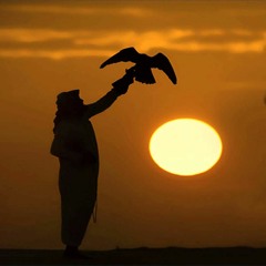 Bird Migration (Sudanese) محمد وردي - الطير المهاجر