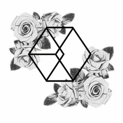 EXO - LOTTO (DEMO VER. COVER)