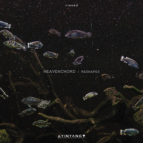 STL - Dub Techno Explorations (Heavenchord Eternal Reshape)