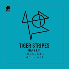 Tiger Stripes - Bang