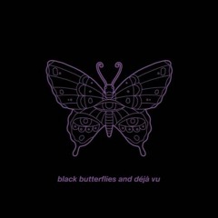 Black Butterflies And Deja Vu (The Maine Cover)