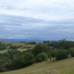 06 Slow ramadan song / Bosilski cocek