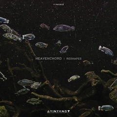 Heavenchord - Reshapes [YIN023]