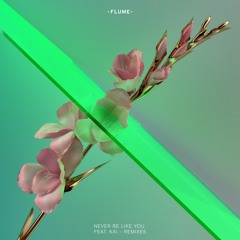 Flume- Never Be Like You (INCGT X Yoki Hars Bootleg)