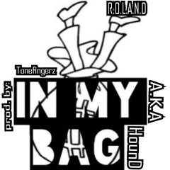 In My Bag prod. by: ToneFingerz - R.O.L.A.N.D (Lost Files)