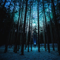 Through The Woods Not Alone [disquiet0317] - encym, Nate Trier & Benn DeMole
