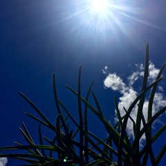 you are my sunshine 🌷