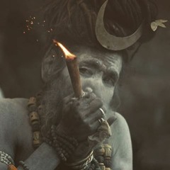 HITECH Goa Festival Set