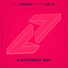 DJ Snake Feat LAUV - A Different Way (Pranil Refix )