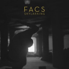 FACS "Skylarking" (Trouble In Mind Records)