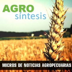 Agrosintesis - FLASH DE NOTICIAS AGROPECUARIAS